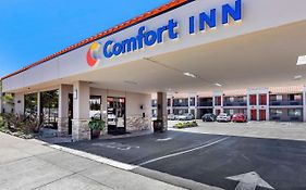 Comfort Inn Near Old Town Pasadena Los Angeles Ca